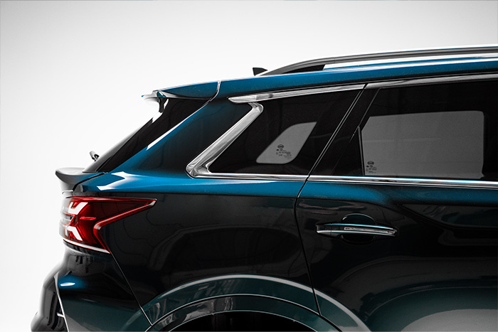 swm g01pr vetri privacy