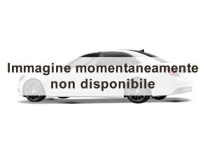 Serie 3 F31 2012 Touring 316d Sport